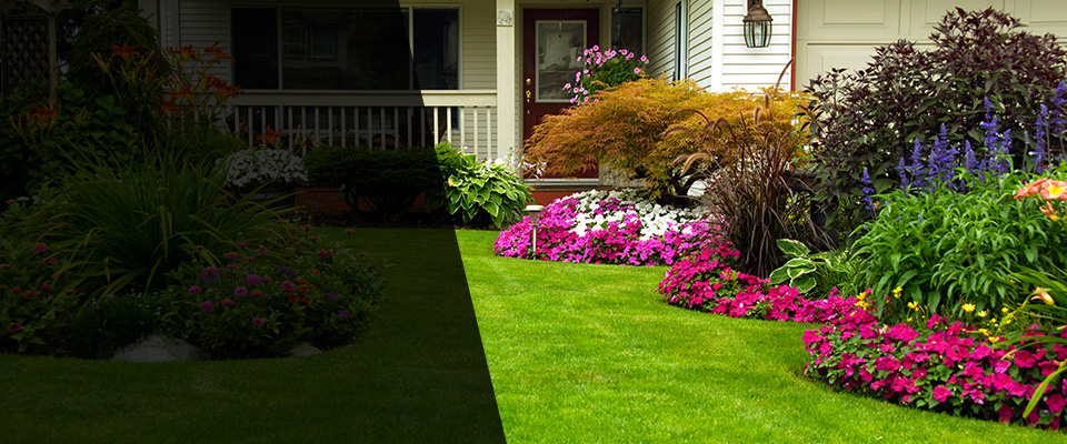 Apache Junction Landscapers