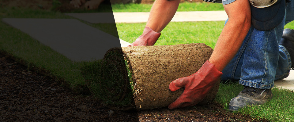 Apache Junction Landscapers